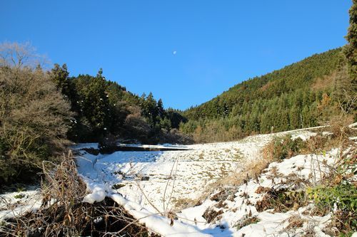 2016.12.18初雪の翌朝　茶や谷-500.jpg