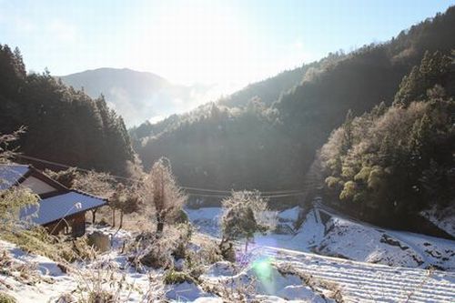 2016.12.18茶や谷冬の朝-500.jpg